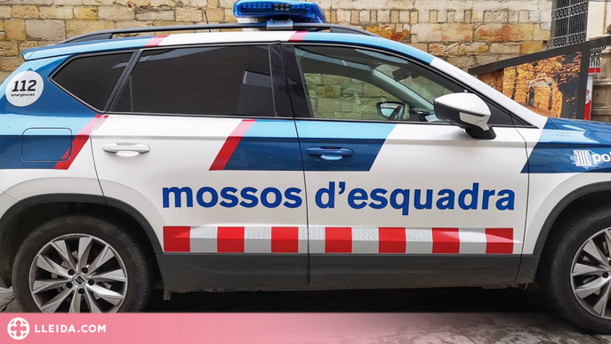 Els Mossos d'Esquadra detenen una dona per un robatori amb violència a Lleida