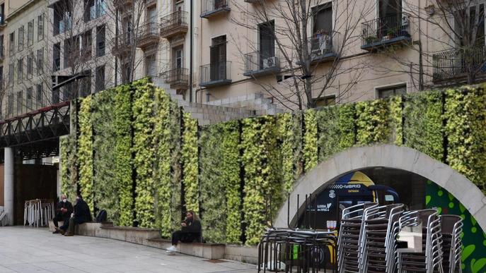 La Paeria plantarà 22 arbres a la plaça Sant Joan de Lleida 3