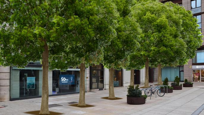 La Paeria plantarà 22 arbres a la plaça Sant Joan de Lleida 5