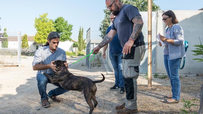 La Paeria incorporarà un dinamitzador a la canera