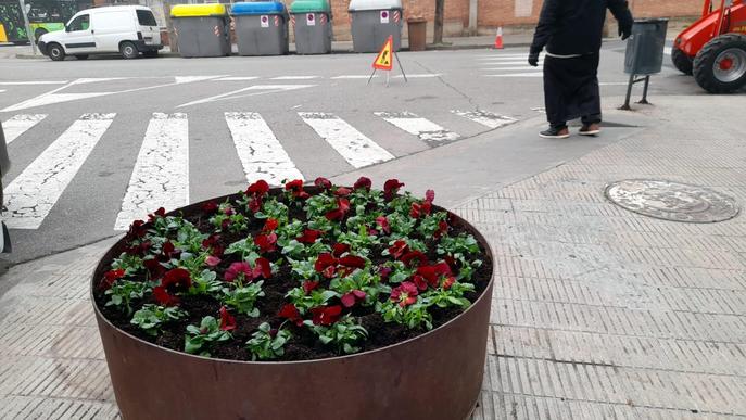 Planten més de 3.200 flors en diferents espais de Lleida