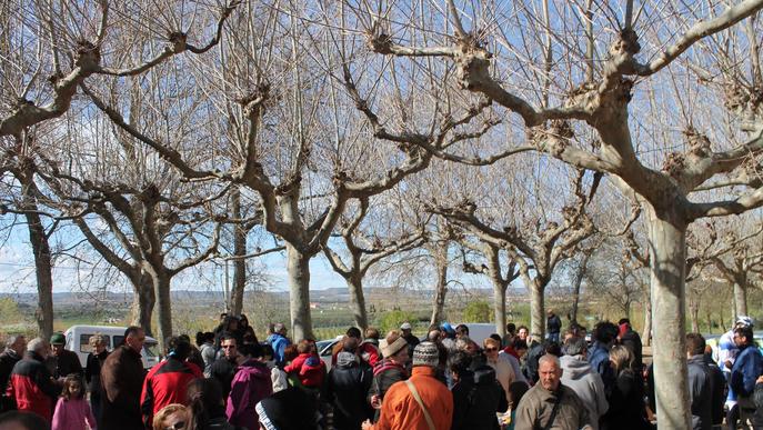 Més de 150 persones a la jornada contra la tala d'arbres al Canal d'Urgell