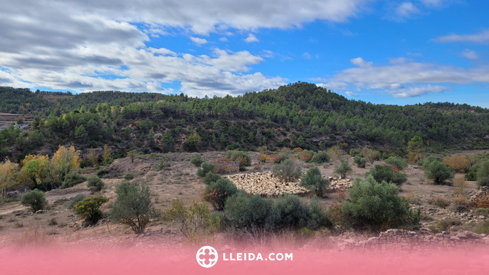 L'Ermita de les Besses, un recorregut a camp obert per a tota la família