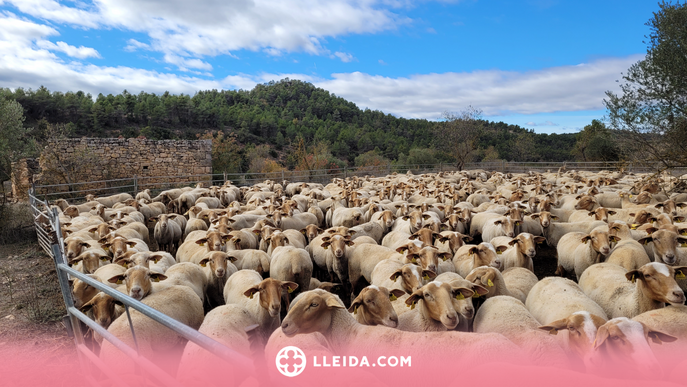 L'Ermita de les Besses, un recorregut a camp obert per a tota la família