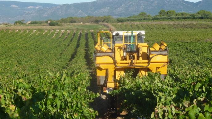 JARC-COAG denuncia la pèrdua progressiva de suport públic vers els viticultors catalans