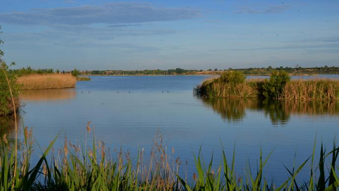 L’Estany d’Ivars i Vila-sana: una invitació a meditar entre ocells