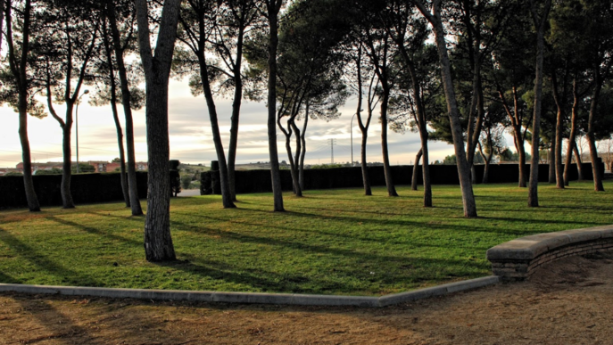 Balaguer homenatjarà les persones mortes durant el confinament