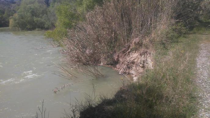 Massalcoreig es prepara per condicionar l'entorn dels rius Cinca i Segre al seu pas pel terme