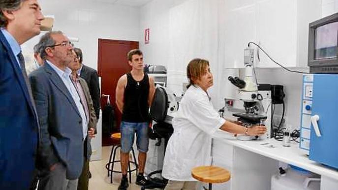 La Diputació ofereix terrenys per a l'hospital de Veterinària a Torrelameu