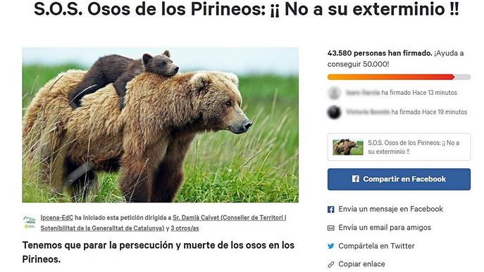 Més de 43.500 demanen transparència en les morts dels óssos del Pirineu 