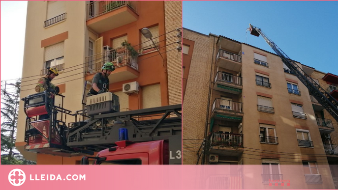 Rescat d'una cigonya en quedar-se atrapada al sostre d'un edifici a Lleida