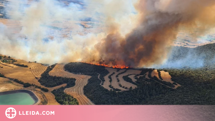 ⏯️ Els bombers remullen la zona de l'incendi a Artesa de Segre, que ha cremat 130 hectàrees
