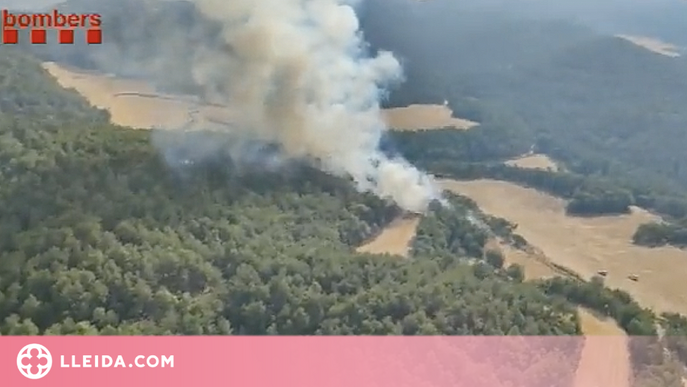 ⏯️ Els bombers estabilitzen un incendi forestal al Solsonès