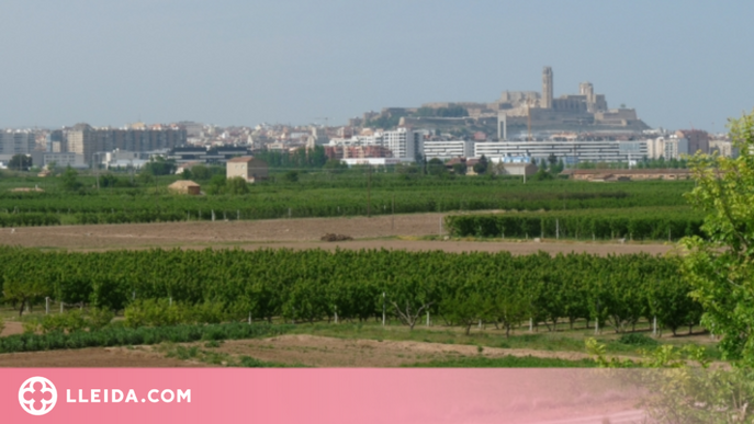 Llum verda a l'Ordenança reguladora dels usos i activitats de l'Horta de Lleida