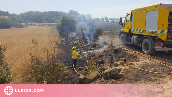 En marxa la campanya de prevenció d'incendis durant els treballs de sega del cereal