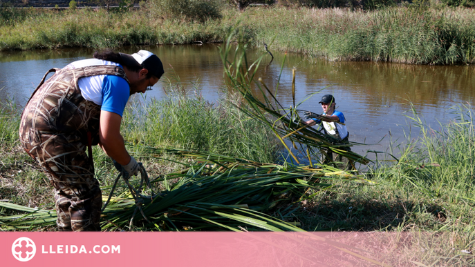 ⏯️ Voluntaris netegen una de les llacunes d'una reserva natural per propiciar la biodiversitat