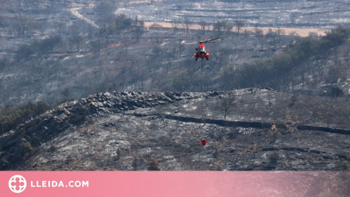 ⏯️ L'alcalde d'Alòs de Balaguer demana més coordinació per fer front a l'incendi de Baldomar