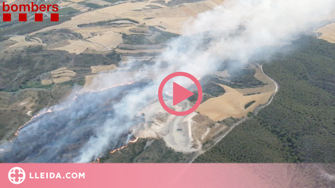 Un incendi afecta 55 hectàrees de vegetació al Segrià