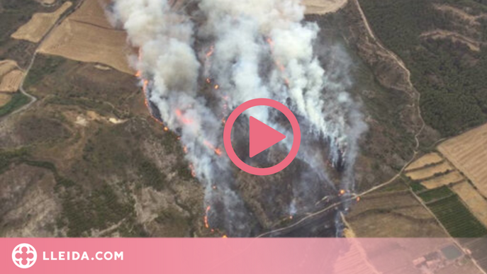 Estabilitzat l'incendi que ha cremat 55 hectàrees agrícoles i forestals de Catalunya i l'Aragó
