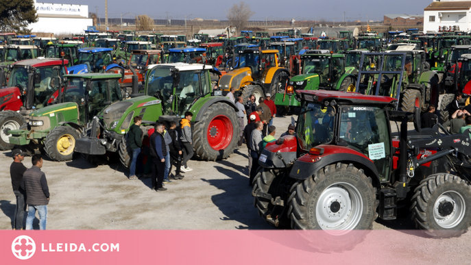 ⏯️ Més de 400 tractors es tornen a manifestar contra la plaga de conills