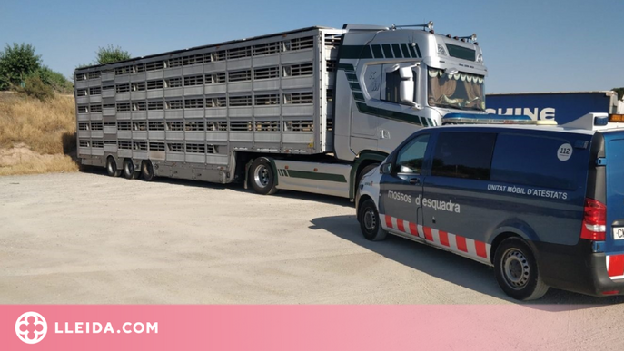 Detingut a Alcarràs un camioner que feia transport internacional amb documents que no eren seus