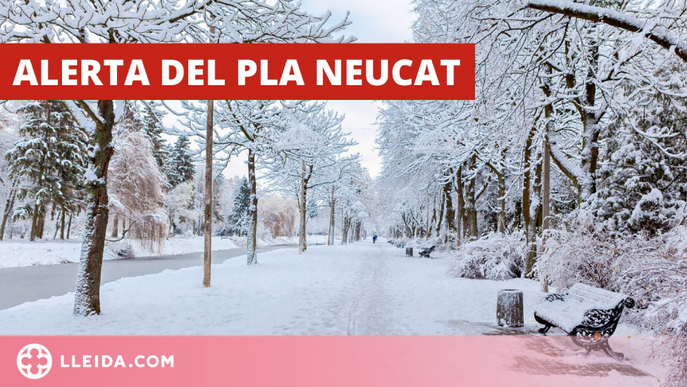 Activen l'alerta del pla Neucat per la previsió de nevades aquest diumenge 