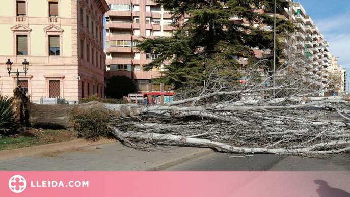 Els bombers atenen una vintena d'avisos per fortes ratxes de vent a Ponent