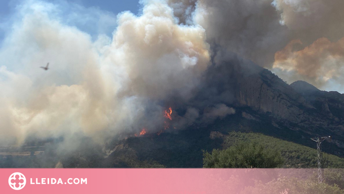 ⏯️ L'incendi de Peramola s'ha iniciat per l'avaria d'una recol·lectora en un camp