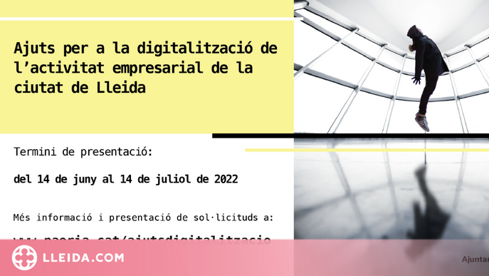 Ajuts de 120.000€ per a la digitalització de les empreses de Lleida