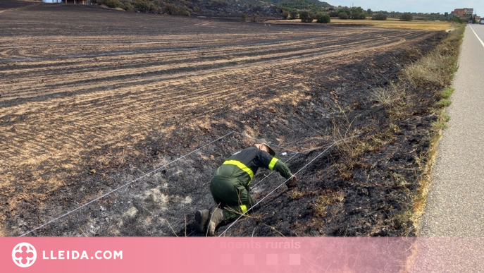 Localitzen la burilla que va provocar l'incendi d'Artesa de Segre