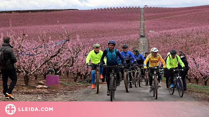 La campanya de la floració d'Aitona supera la barrera dels 20.000 visitants