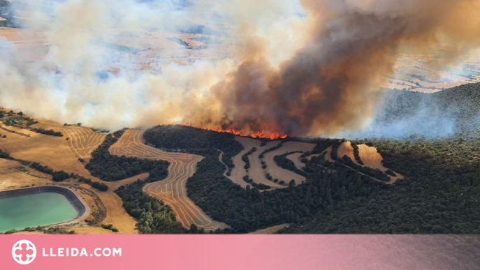 Un nou incendi a Artesa de Segre crema ja 40 hectàrees