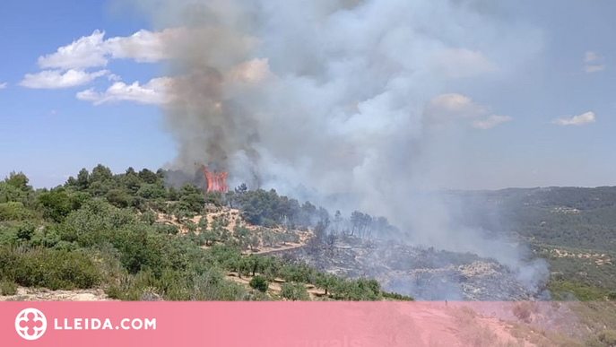 ⏯️ Estabilitzat l'incendi entre Juncosa i Ulldemolins