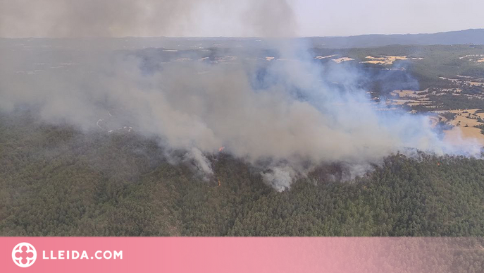 Incendi forestal a l'Alt Urgell