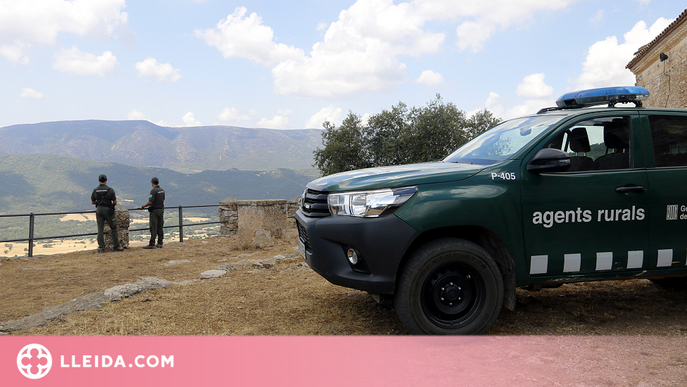 ⏯️ 19 denúncies relacionades amb la prevenció d'incendis des del 15 de juny