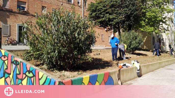 Nova edició de Jardins Socials per regenerar espais de la Mariola amb veïns del barri