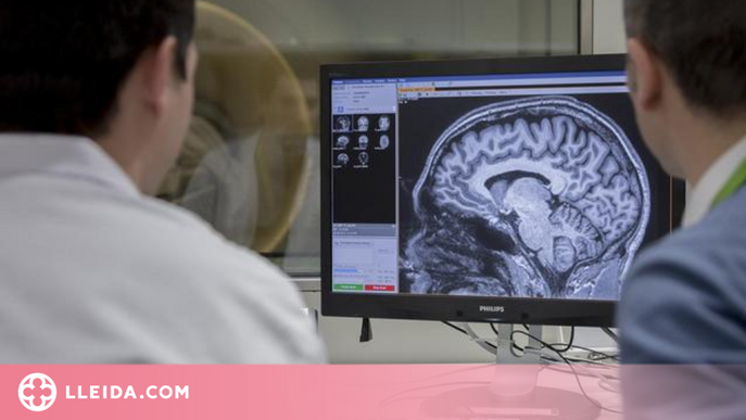Creen un test online per detectar l'Alzheimer de forma precoç