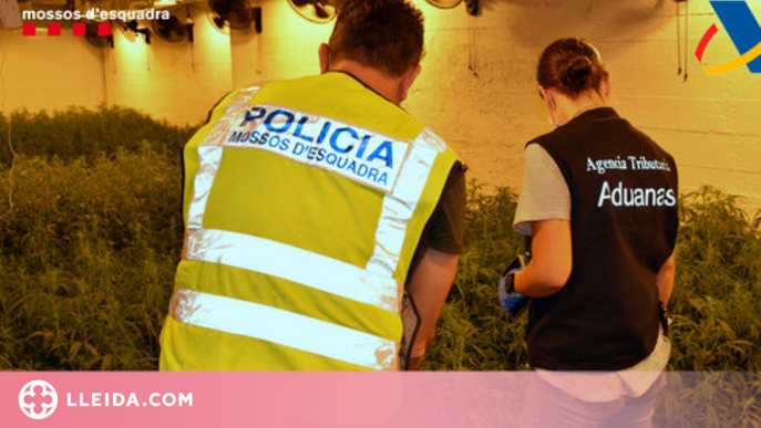 Desmantellen una organització de tràfic de drogues que operava a Lleida i arreu d'Europa