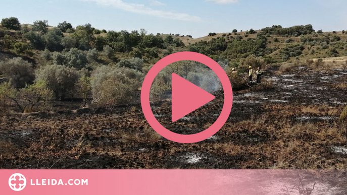 Vista aèria de l'incendi que va quemar 55 hectàrees de vegetació entre Catalunya i Aragó