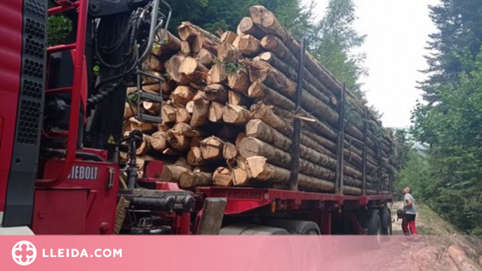 La Val d'Aran aprofitarà la fusta dels boscos per alimentar calderes de biomassa