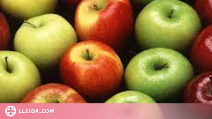 La importació de pomes a l'Estat genera unes emissions de 10 milions de quilos de CO2