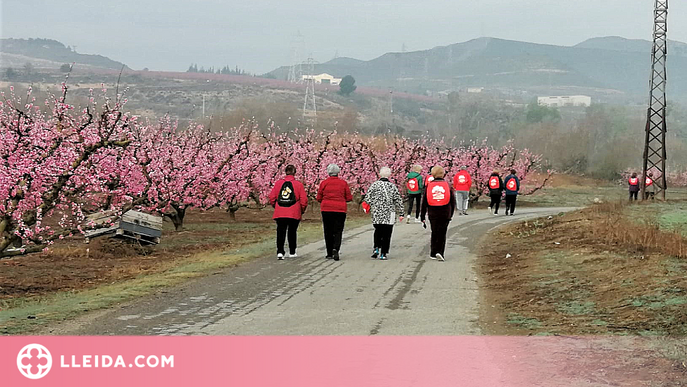 Commemoració del dia de la dona amb una 'Caminada entre flors' a Massalcoreig
