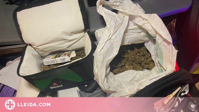 Detingut un conductor per dur una nevera tèrmica amb 140 grams de marihuana a Mollerussa