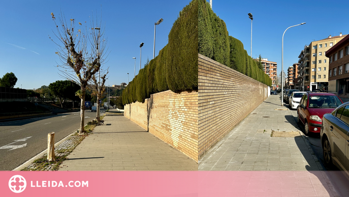 Balaguer plantarà arbres en els escocells buits de diferents zones de la ciutat