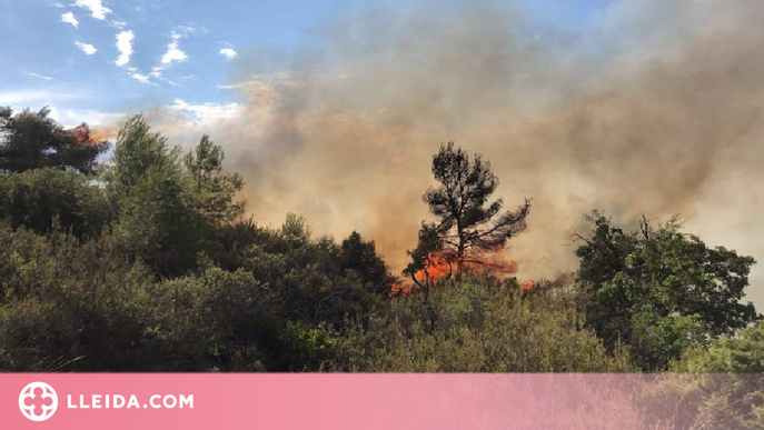 Un incendi forestal crema uns 7.000 metres quadrats a les Garrigues