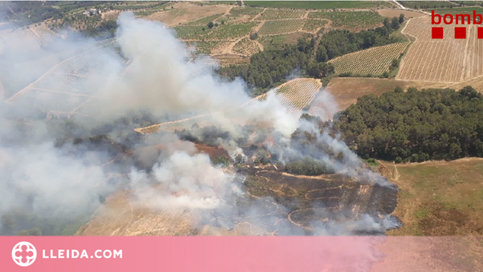 Dos incendis cremen vegetació agrícola a la Segarra i l'Alt Penedès