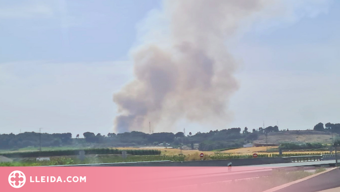 Dos incendis cremen unes 13 hectàrees de camps a Alcarràs i Balaguer
