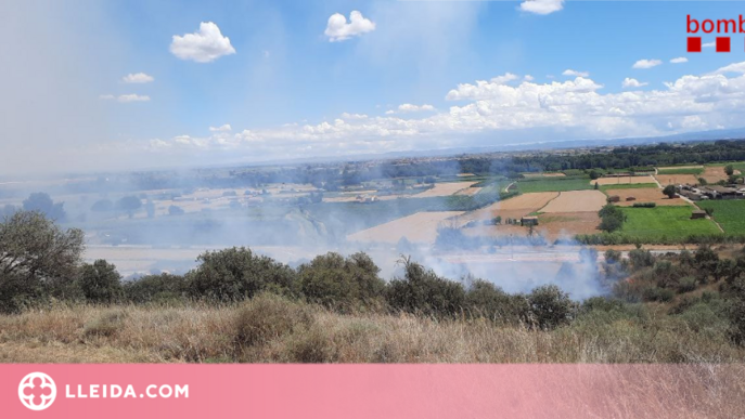 Crida a la responsabilitat per evitar incendis arran de la previsió d'altes temperatures