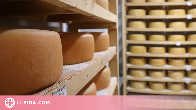 ⏯️ El món del formatge artesà a Catalunya "viu un moment dolç"