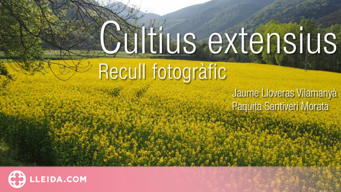 Publicat un recull de 1.000 fotografies sobre cultius extensius dels últims trenta anys